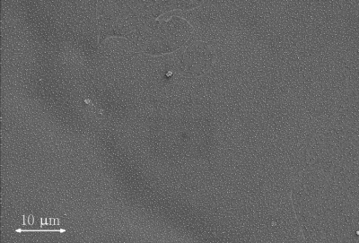 SEM Particle Analysis image